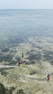 Vertical Video of a Coastal Landscape in Zanzibar Tanzania