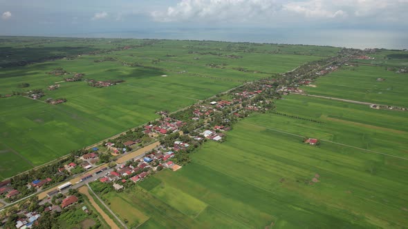 The Paddy Rice Fields of Kedah and Perlis, Malaysia