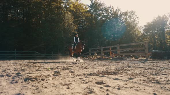 Horse and rider walk in slow motion in a sand arena during sunset.