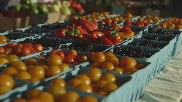 Fresh Sun Gold Tomatoes, Blackberry Fruits, And Red Bell Peppers For Sale At The Farmer's Market In