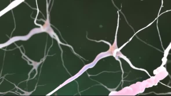 Neural Network with zoom into a Synapse and release of a Neurotransmitter. alt