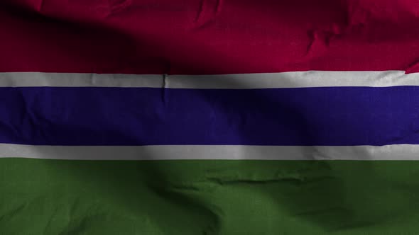 Gambia Flag Textured Waving Background 4K