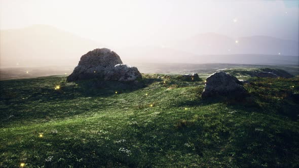 Alpine Meadow with Rocks and Green Grass