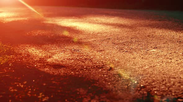 Sport Man Running at Asphalt Road. Rural City Park. Green Tree Forest and Sun Rays on Horizon.