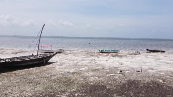 Low Tide in the Ocean Near the Coast of Zanzibar Tanzania Slow Motion