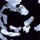 Halloween Ghost Transition B 4K - VideoHive Item for Sale