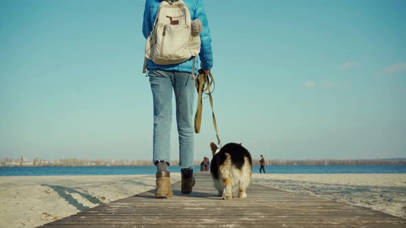 Rear View of Woman and Cute Adorable Dog Welsh Corgi Pembroke Breed Walking on Sandy Beach