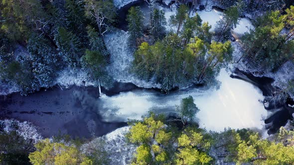Drone flight over an endless forest in winter. Early and cold winter morning with a snowy forest.