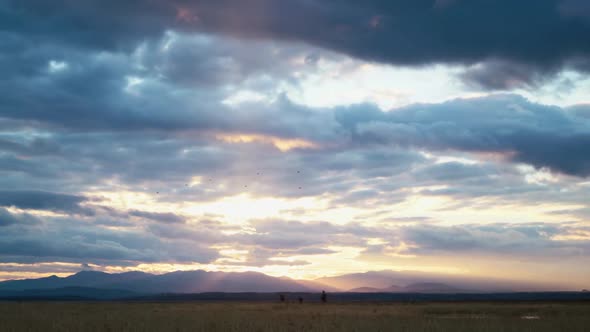 8K Sunset On The Reed-Covered Plain