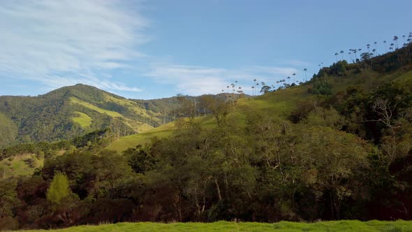 A panning shot of coffee area landscape in Colombia. A mesmerizing beauty of nature is seen