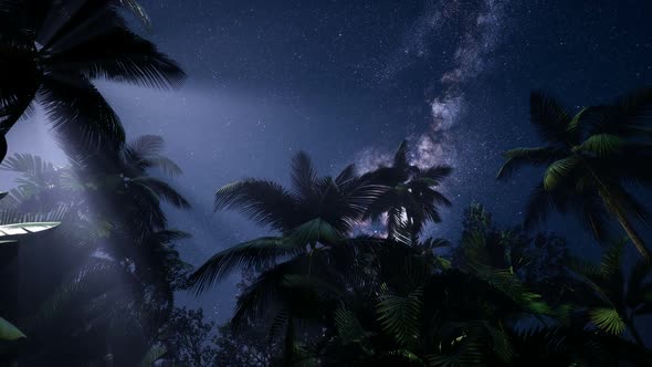 Astro of Milky Way Galaxy Over Tropical Rainforest alt