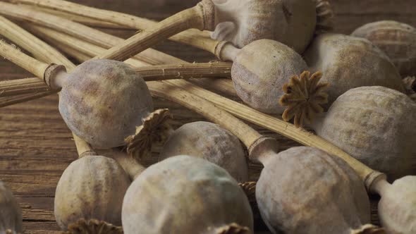 Closeup of poppy heads on a table 