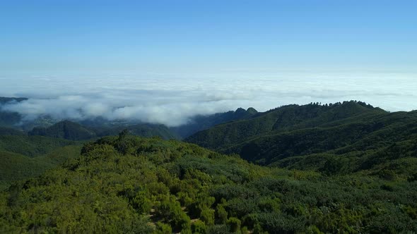 Thick Forests and Mountain Landscape of Madeira