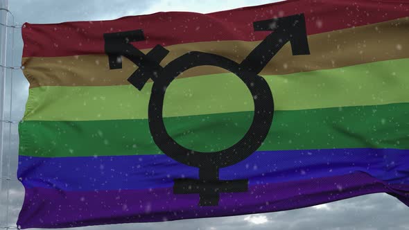 Transgender bisexual gay pride winter flag with snowflakes background