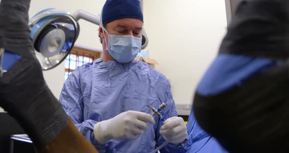 Surgeon operating a horse in operation theater. 4k