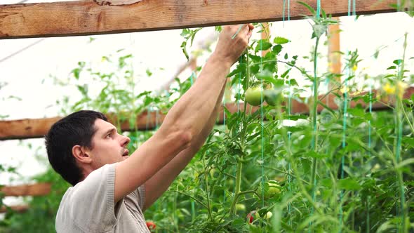 Young Man Working in the Vegetable Garden