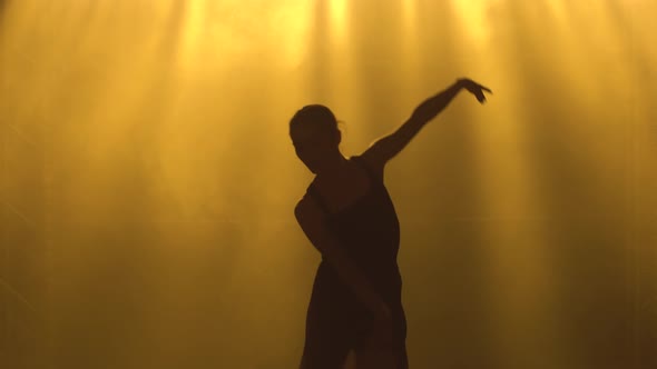 Professional Ballerina Dancing Ballet in Spotlights and Smoke on Stage. Silhouette of a Beautiful