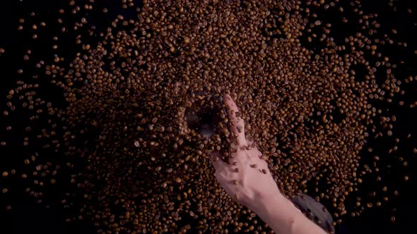 Top View Rotating Coffee Beans in Grinder Close Up