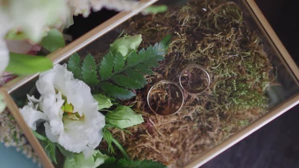 Composition with Wedding Rings and Natural Items in Box