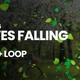 Falling Leaves Spring 4K+Loop [Transparent] - VideoHive Item for Sale