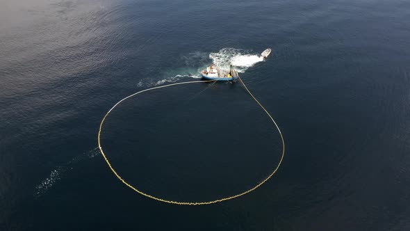 Aerial View of Fishing Ship and Net in Circle Shape, Collecting Fish From Ocean. Traditional Salmon