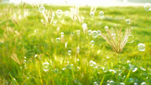 Colorful air bubble on natural background