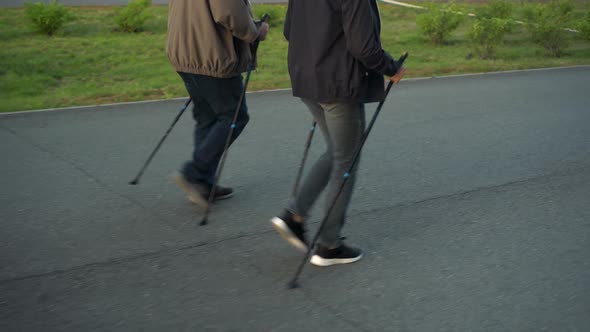 Pensioners are Engaged in Nordic Walking in the Park