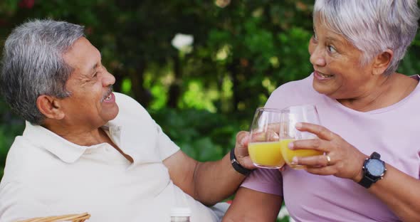 Video of happy biracial senior couple having picnic in garden