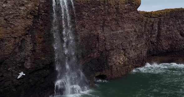 Scotland Fowlsheugh, Natural Landscapes