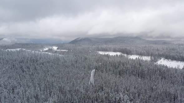 Aerial tracking across a snowy forest in the middle of winter