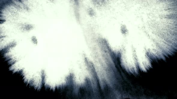 Ink Drops 
