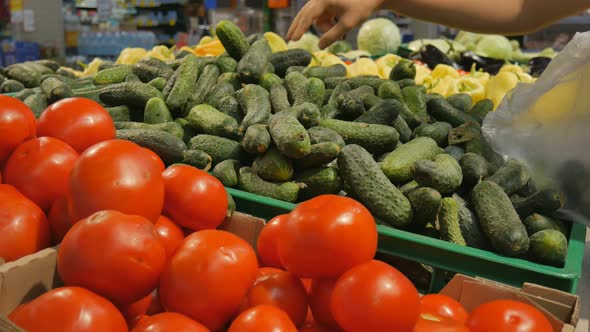 Close Up Girl Hands in Supermarket Buys Vegetables. Woman Chooses Cucumbers. Close Up, Selection