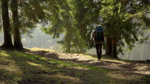 A Man with a Backpack Travels in a Beautiful Forest