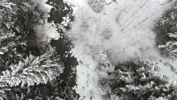 Stream Flowing Through Snow and Forest