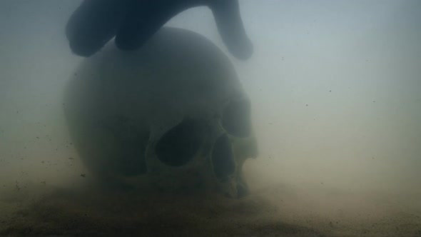 Diver Picks Up Skull From Sea Floor