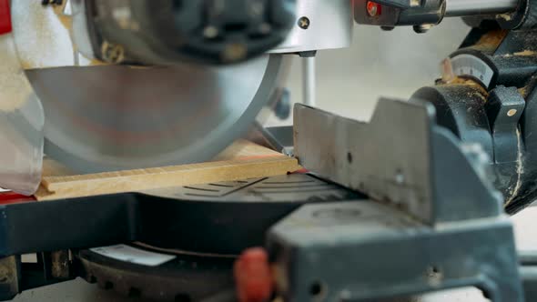 A Worker Cuts Off a Laminated Board with an Electric Miter Saw. Laying the Floor Covering.