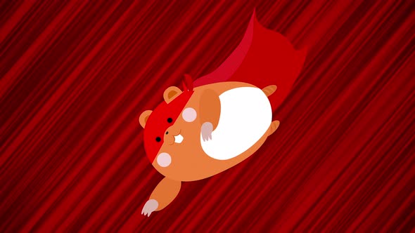 Flying hamster on red background. Looped animation of falling mammal. Moving animal. Animated
