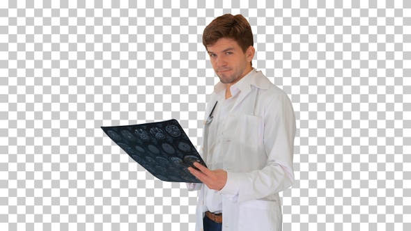 Male doctor checking computed tomography, Alpha Channel