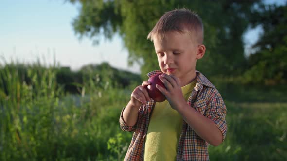 Proper Nutrition Hungry Little Boy with Appetite Bites a Juicy Ripe Apple While Walking Outdoors in