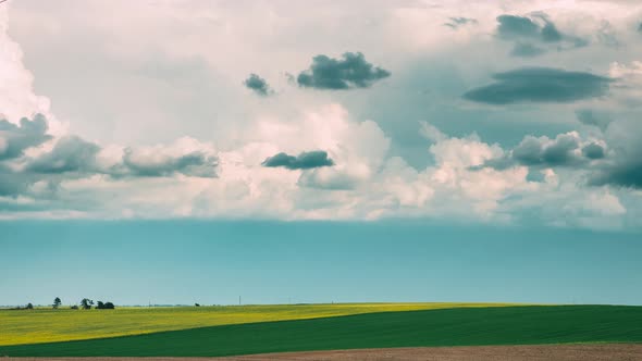 Tractor Plowing Field In Spring Season