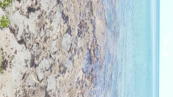 Vertical Video of the Ocean Near the Coast of Zanzibar Tanzania Aerial View