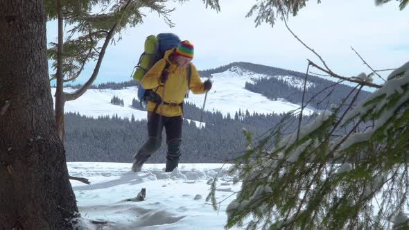 A Man with a Backpack Walks in the Winter Forest