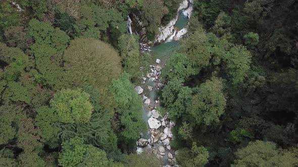 Mountain river surrounded by green trees. Top view of the forest and the river. Beautiful stones by