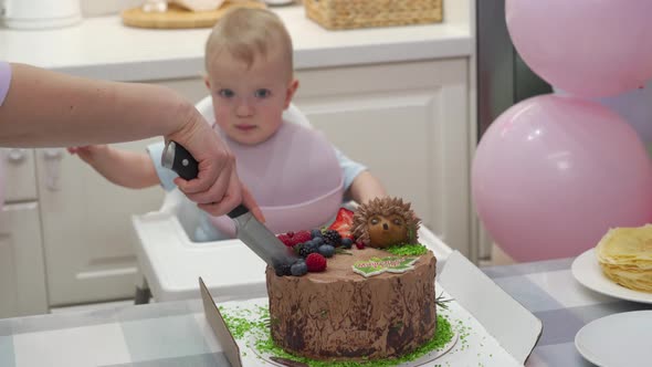 Baby Celebrate First Birthday Holiday Mother Cuts Pieces of Birthday Cake One Year Old Kid Against