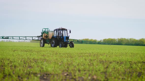 Spraying a Green Wheat Field By Tractor