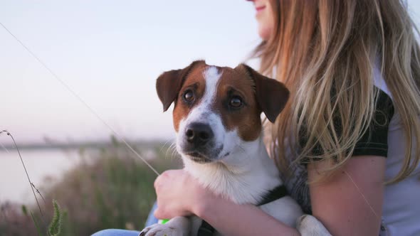 Young Happy Woman and Het Little Dog Sitting with Flying Kite on a Glade at Sunset