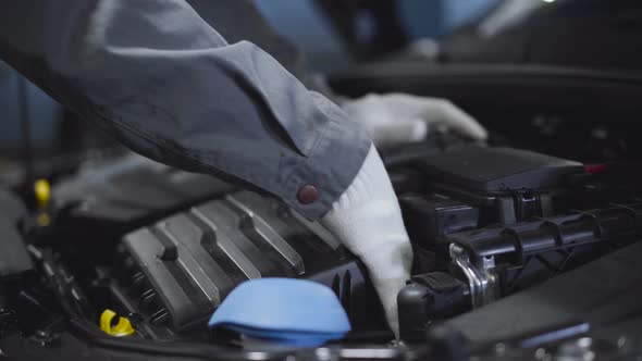 Close-up of Male Hands in White Protective Gloves Checking Car Interiors. Auto Mechanic Examining