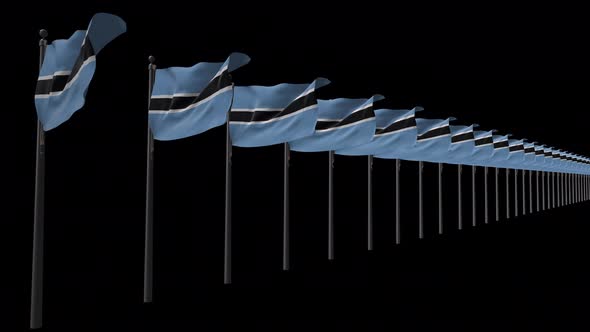 Row Of Botswana Flags With Alpha 4K
