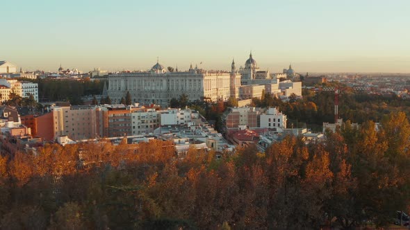 Low Flight Above Trees in Park and Buildings in Town District