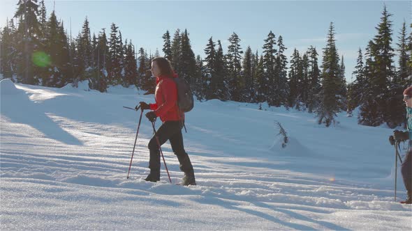 Adventure Girl Friends Hiking in Canadian Mountain Nature During Winter Sunny Morning